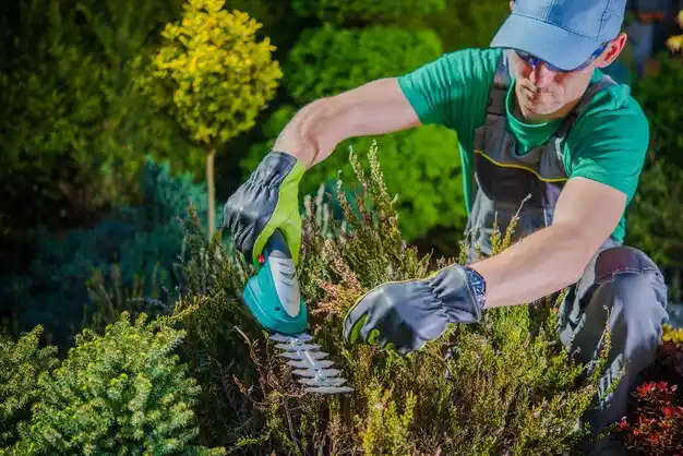 landscaping services Wintersville